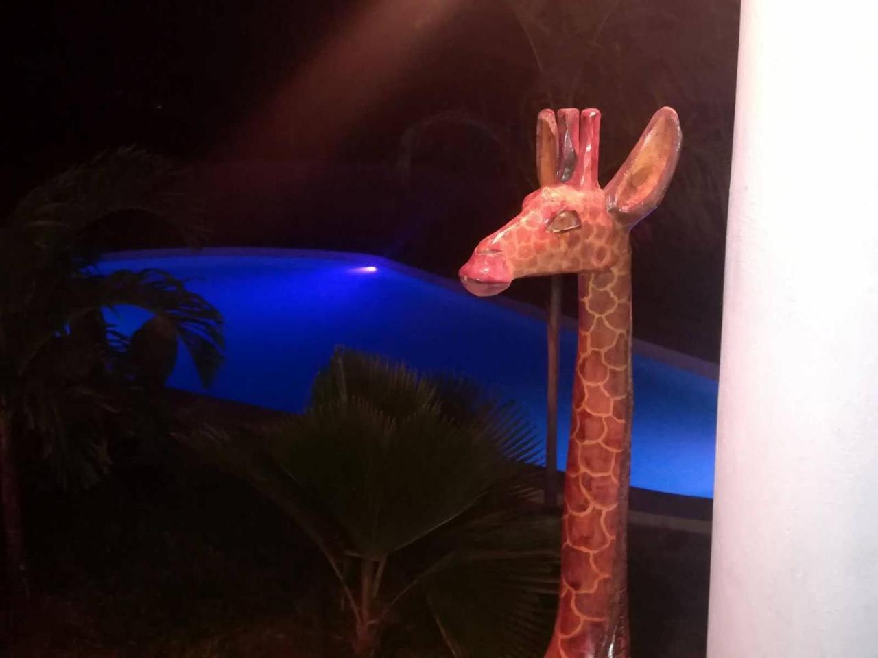 Bed and Breakfast Simba House Watamu Esterno foto